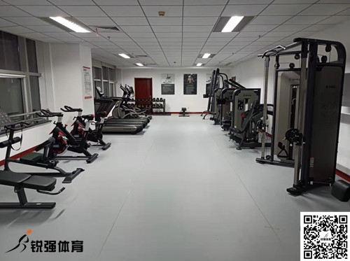 济南某集团采购的世俱杯中国官网入口提供的健身器材
